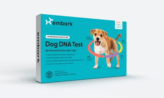 embark dog dna test