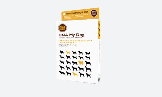 dna my dog dna test