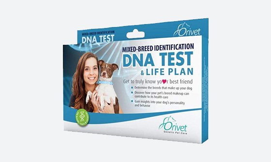 orivet dog dna test